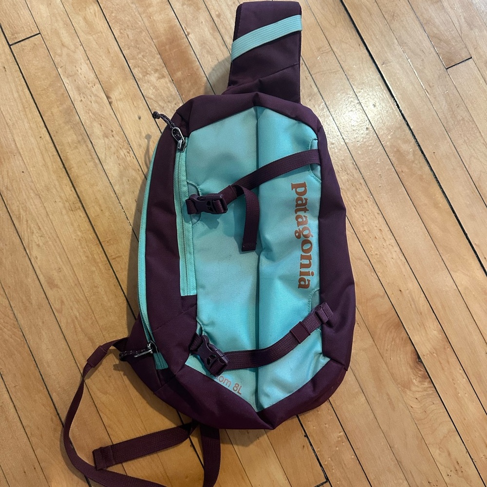 Patagonia Blue and Purple Sling Backpack